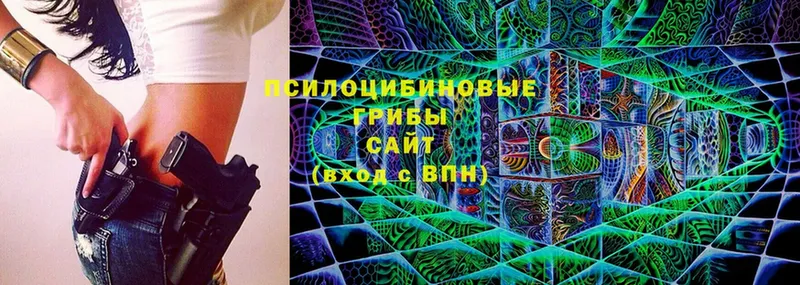 Псилоцибиновые грибы Psilocybine cubensis  Дмитровск 